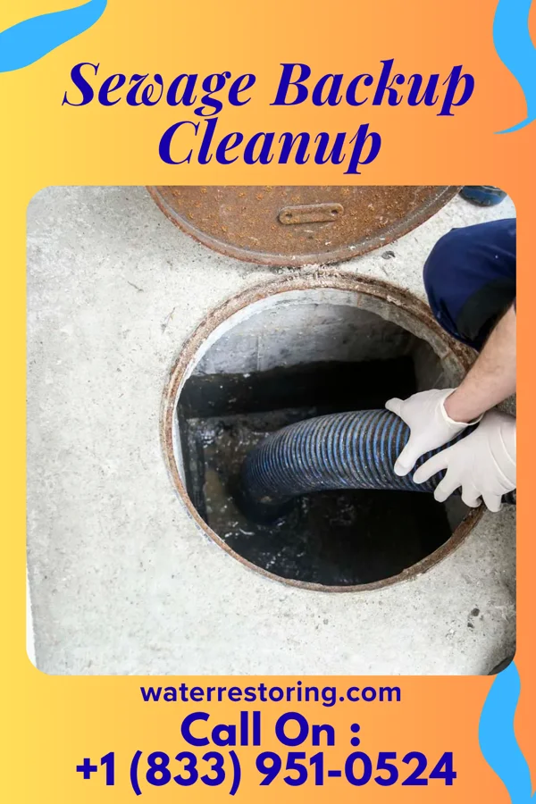 Sewage Backup Cleanup in Garfield, KS